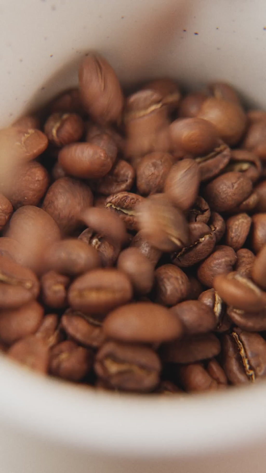 Mulise Coffee